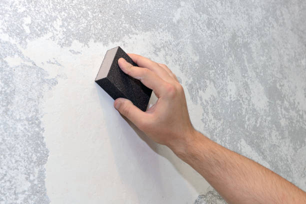 Best Black Mold Removal  in South River, NM