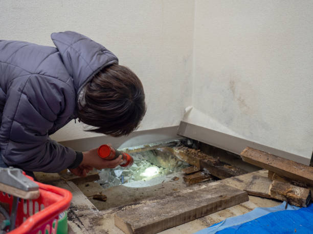 Best Comprehensive Air Testing for Mold Contaminants  in South River, NM