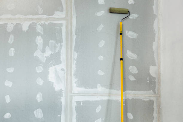 Best Forensic Mold Investigation  in South River, NM