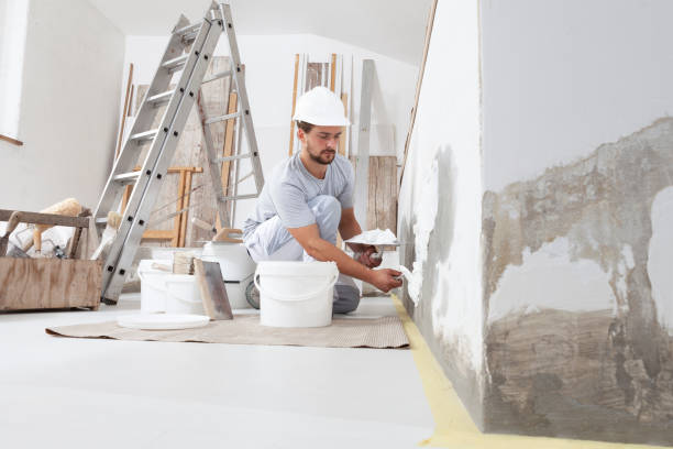 Best Mold Damage Restoration  in South River, NM