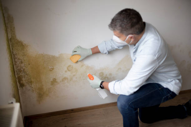 Mold Remediation for Rental Properties in South River, NM