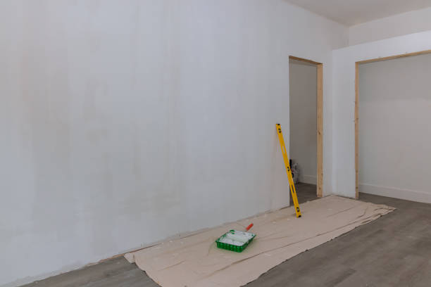 Reliable South River, NM Mold Removal Solutions