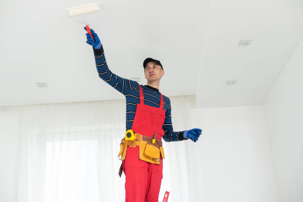 Best Water Damage & Mold Remediation  in South River, NM