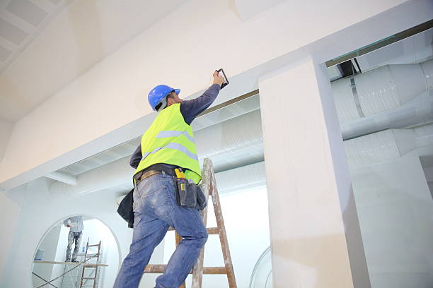  South River, NM Mold Removal Pros