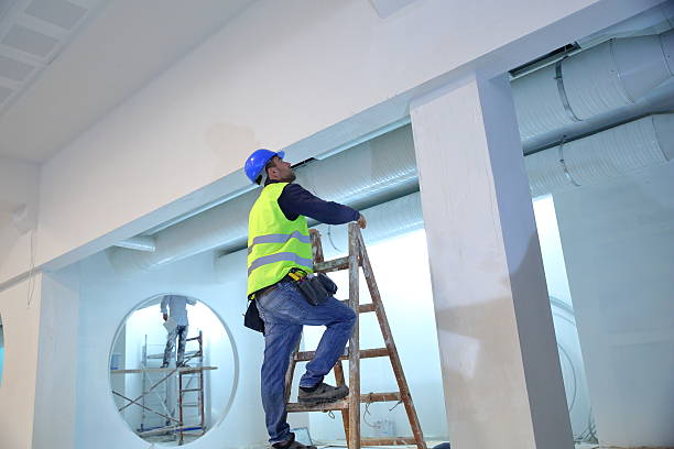 Best Mold Remediation for Healthcare Facilities  in South River, NM