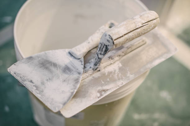 Best Mold Remediation for Rental Properties  in South River, NM