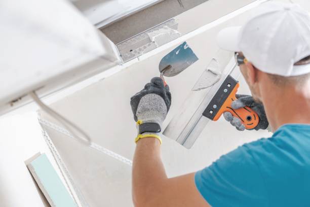 Best Mold Documentation for Insurance Claims  in South River, NM